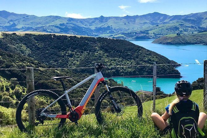Akaroa Explorer- Guided Electric Bike Tour in Akaroa - Akaroa Harbour views on pedal assist, without the grind