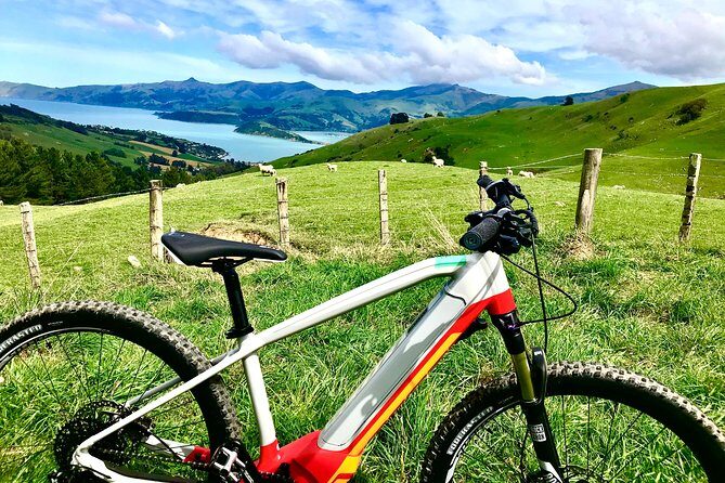 Akaroa Explorer- Guided Electric Bike Tour in Akaroa - The ride starts at The Common Cafe and Garden Bar