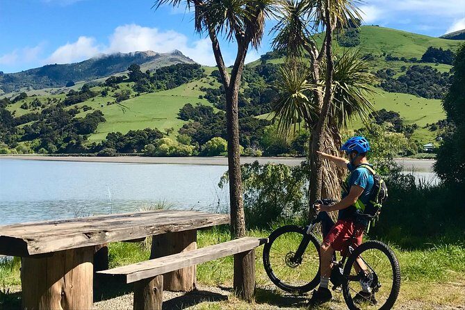 Akaroa Explorer- Guided Electric Bike Tour in Akaroa - The bikes: Scott and Trek Performance e-mountain style