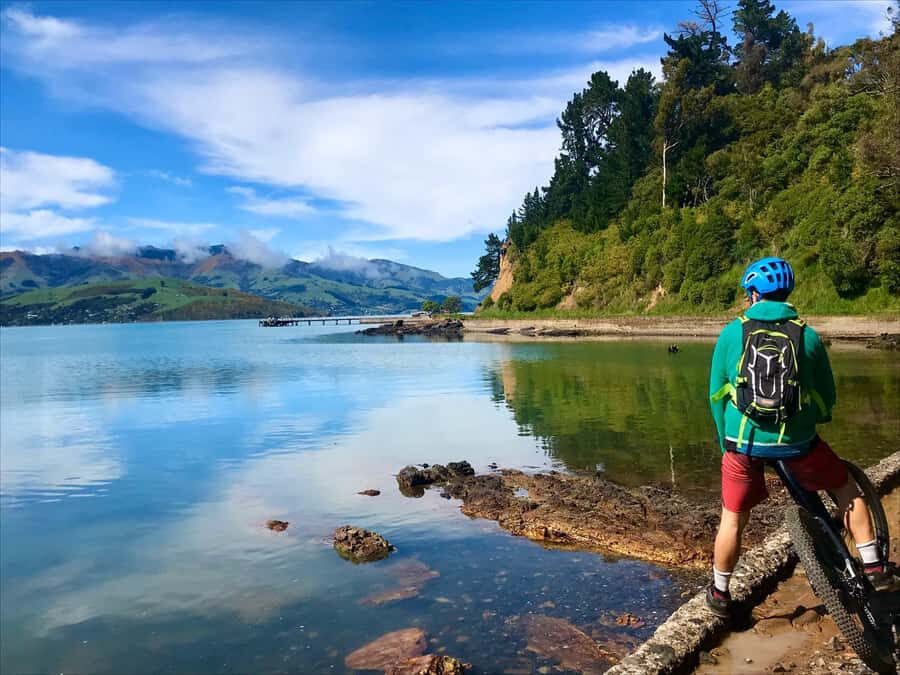 Akaroa Explorer: Guided Electric Mountain Bike Tour - Who this tour is best for (and who should pass)