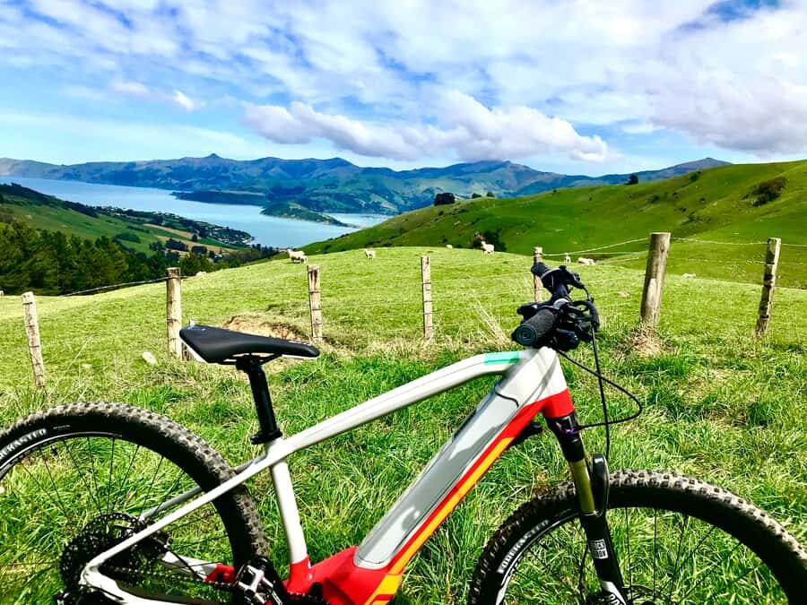 Akaroa Explorer: Guided Electric Mountain Bike Tour - Price and value: is $86 worth it?