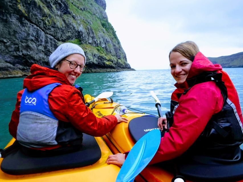 Akaroa: Guided Sunrise Sea Kayaking Tour - Should You Book This Akaroa Sunrise Sea Kayaking Tour?