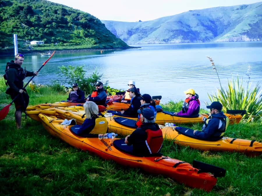 Akaroa: Guided Sunrise Sea Kayaking Tour - Who This Tour Suits Best (and Who Should Think Twice)