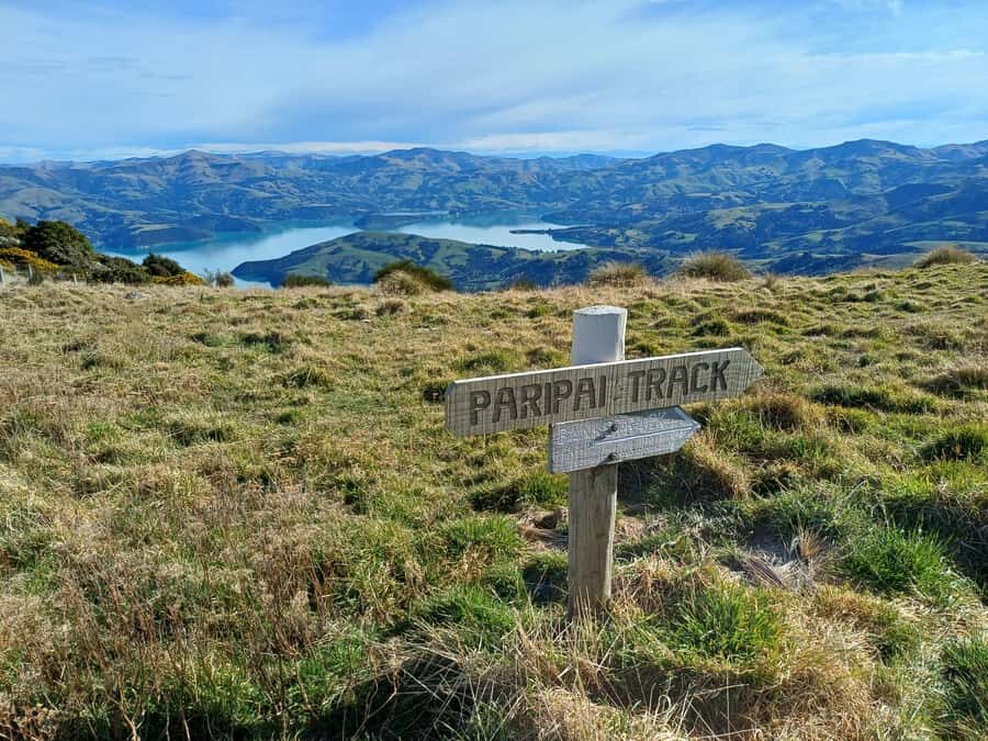 Akaroa: Lonely Beach Trail by E-Scooter. selfguided day out - Packing your picnic so lunch actually tastes like a vacation