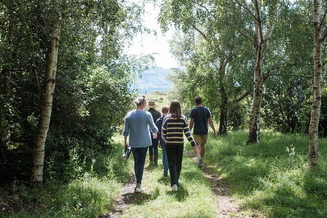 Akaroa Nature and History Private Tour - The 7th Generation - Takapuneke Reserve: geology lessons plus human routes and trade
