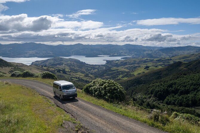 Akaroa Nature and History Private Tour - The 7th Generation - Meet Marie Haley: historian, ecologist, and storyteller