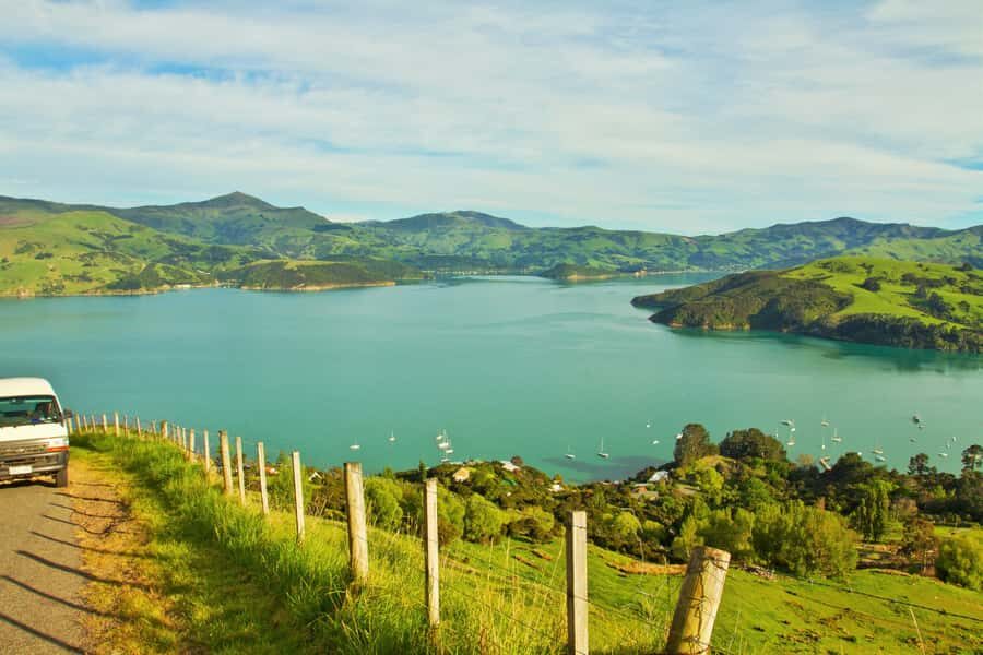 Akaroa: Pohatu Penguins Scenic Nature 2-Hour or 4-Hour Tour - Key highlights at Pohatu Bay, in plain terms