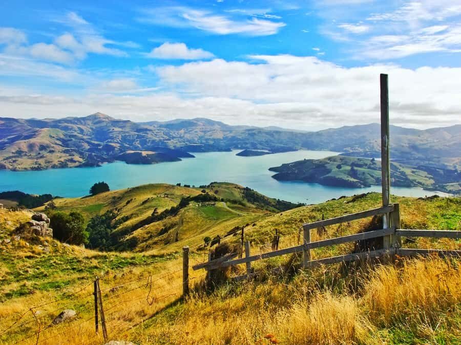 Akaroa: Pohatu Penguins Scenic Nature 2-Hour or 4-Hour Tour - Practical tips that make the day smoother