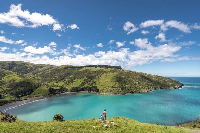 Akaroa Private Day Tour from Christchurch - Why Akaroa Feels Worth It When You Only Have One Day