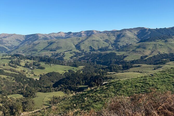 Akaroa Private Day Tour from Christchurch - Akaroa Inside an Extinct Volcano Crater (and Why the French Connection Matters)