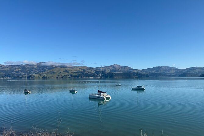 Akaroa Private Day Tour from Christchurch - How Long It Takes (and How to Plan Your Day Around It)
