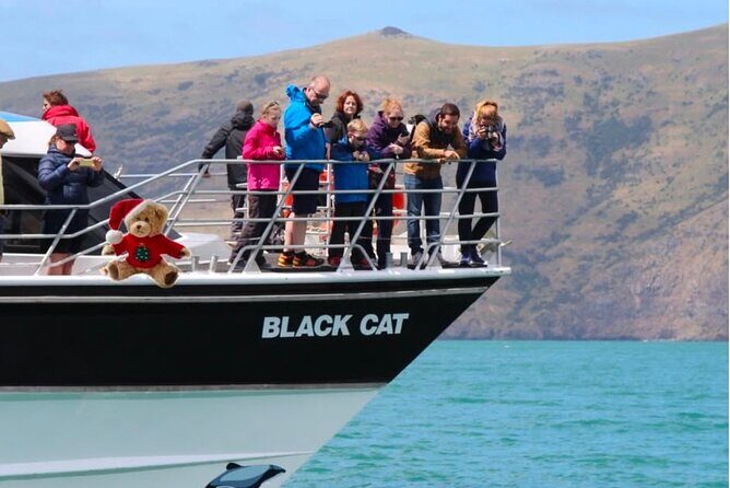 Akaroa Private Day Trip From Christchurch - Optional lunch upgrade: useful if you want it built in