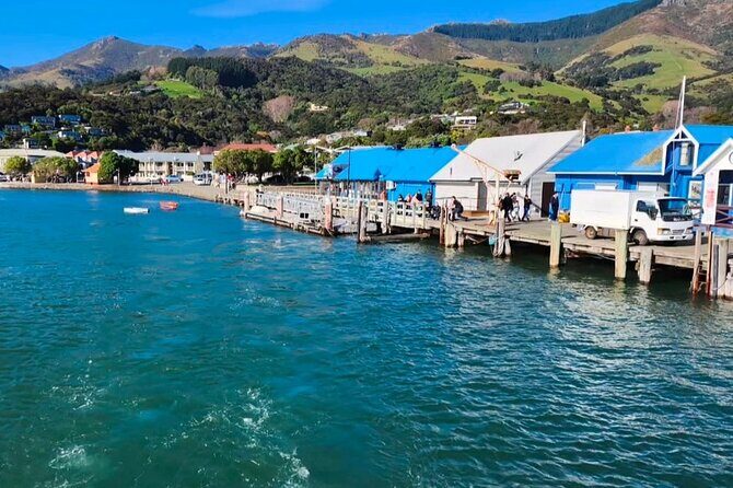 Akaroa Private Day Trip From Christchurch - Optional catamaran cruise for dolphin watching: decide based on your priorities