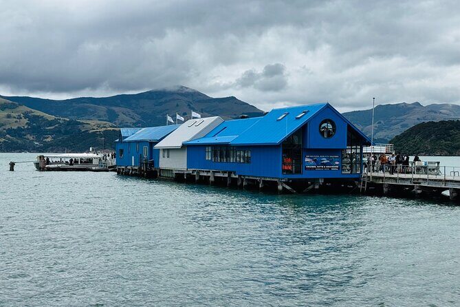 Akaroa Private Group Day Trip from Christchurch - Christchurch to Banks Peninsula: why the drive is half the point