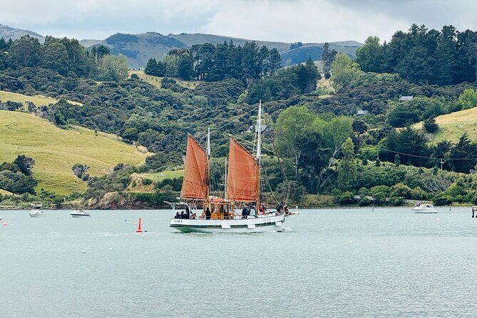Akaroa Private Group Day Trip from Christchurch - Price and value: what your NZ$192.38 really buys