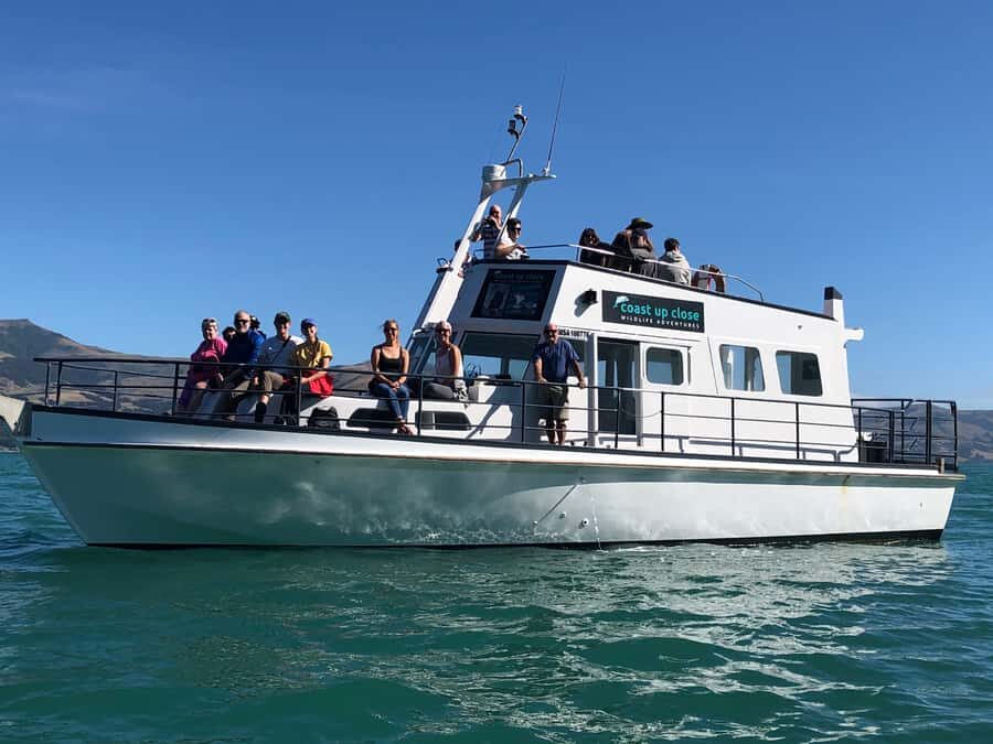 Akaroa: Scenic Coastline Wildlife Cruise - Price and value: what $65 gets you in Akaroa