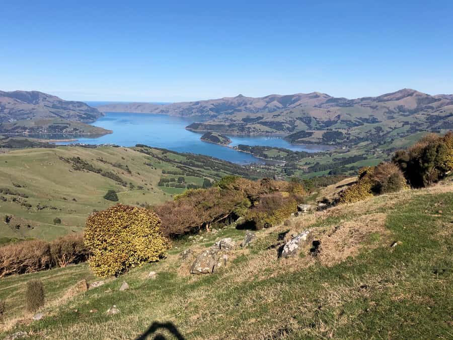 Akaroa: Scenic Coastline Wildlife Cruise - Tony’s Kiwi storytelling and the value of real context