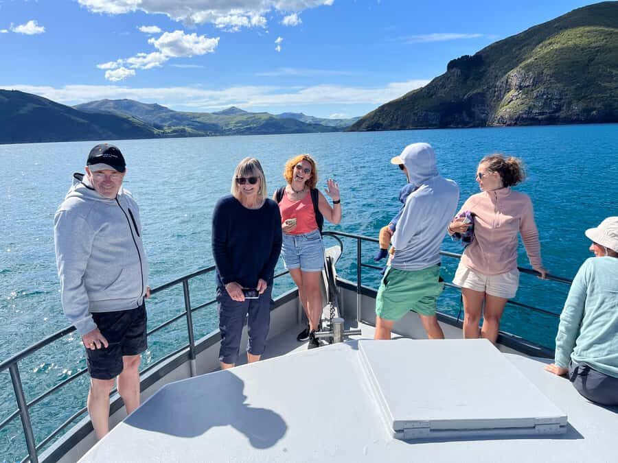 Akaroa: Scenic Coastline Wildlife Cruise - Wildlife moments: penguins, seabirds, and dolphins in one trip