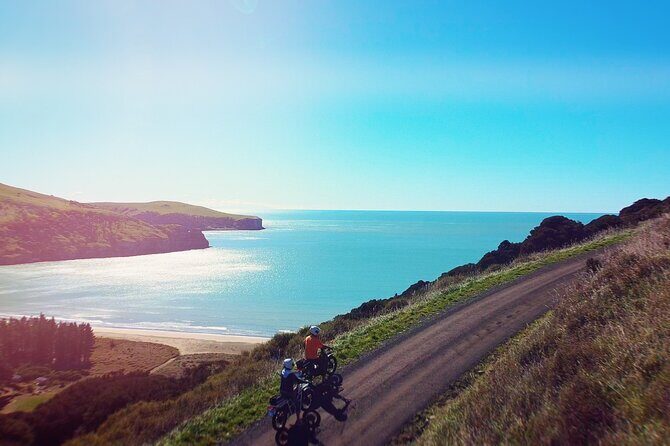 Akaroa Self Guided Electric Scooter Tour - Stop 1: Okains Bay Maori and Colonial Museum (and why it’s worth your time)