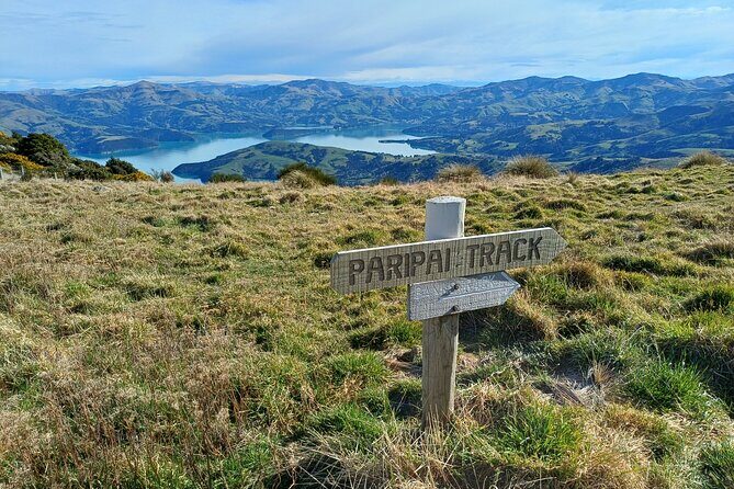 Akaroa Self Guided Electric Scooter Tour - Weather and timing: how to avoid a frustrating day