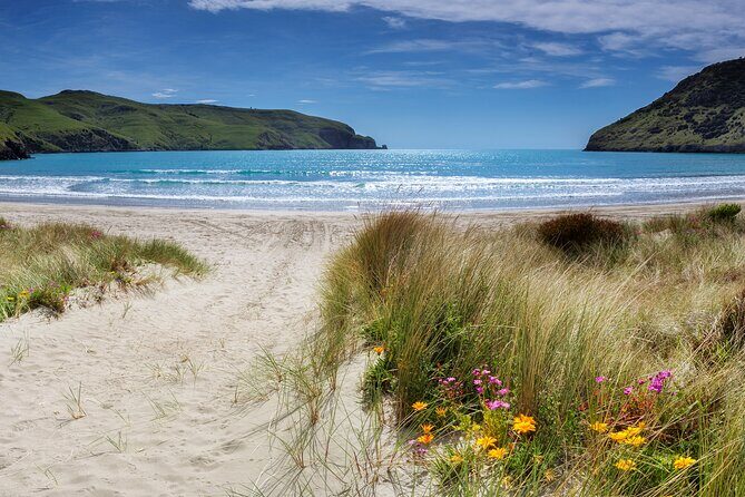 Akaroa Self Guided Electric Scooter Tour - What’s included (and what you’ll need to bring)