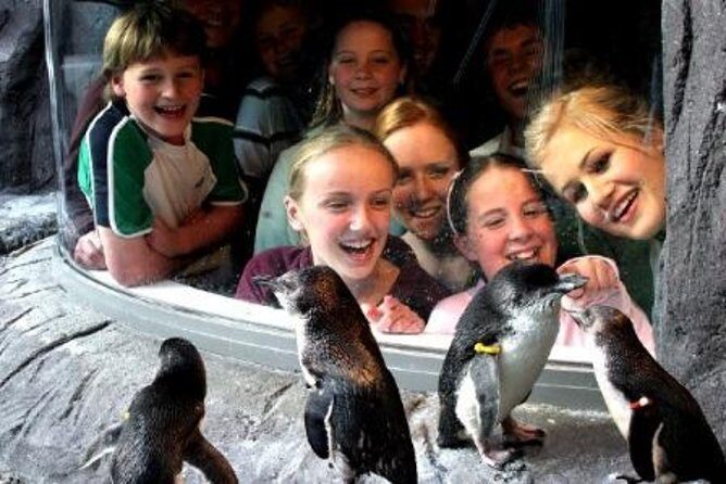 Akaroa Shore Excursion: Banks Peninsula, Christchurch City Tour and the International Antarctic Centre - Timing reality: why the day can feel rushed even when the highlights are good