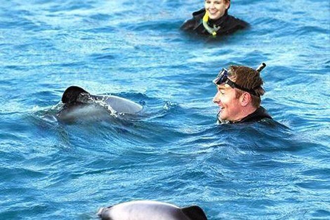 Akaroa Swim with Dolphins Tour from Christchurch - The Christchurch-to-Akaroa Drive: Views and Real Time on Wheels