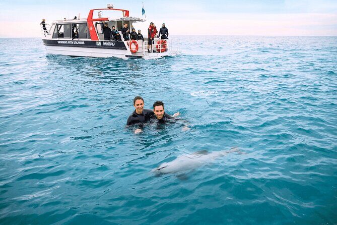 Akaroa Swim with Dolphins Tour from Christchurch - Barry’s Bay Cheese Factory Tasting: The Worth-It Finish