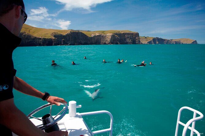 Akaroa Swim with Dolphins Tour from Christchurch - Price and Value: Is $223.41 Worth It?