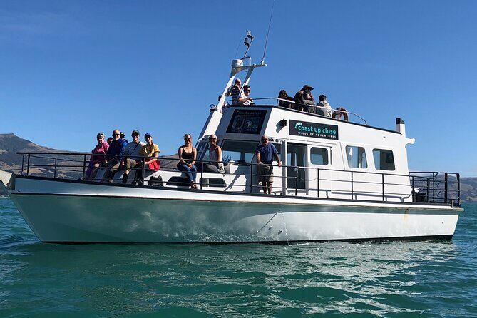 Akaroa Wildlife Cruise - Key Points You’ll Care About