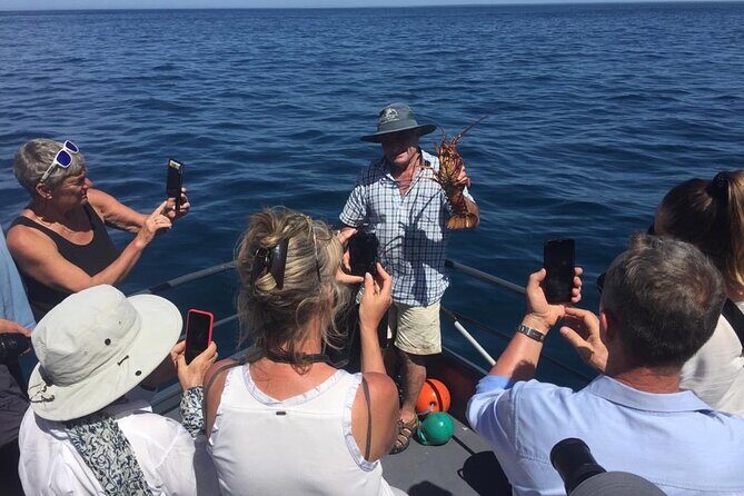 Akaroa Wildlife Cruise - Price and Value: Is $68.26 Worth It?
