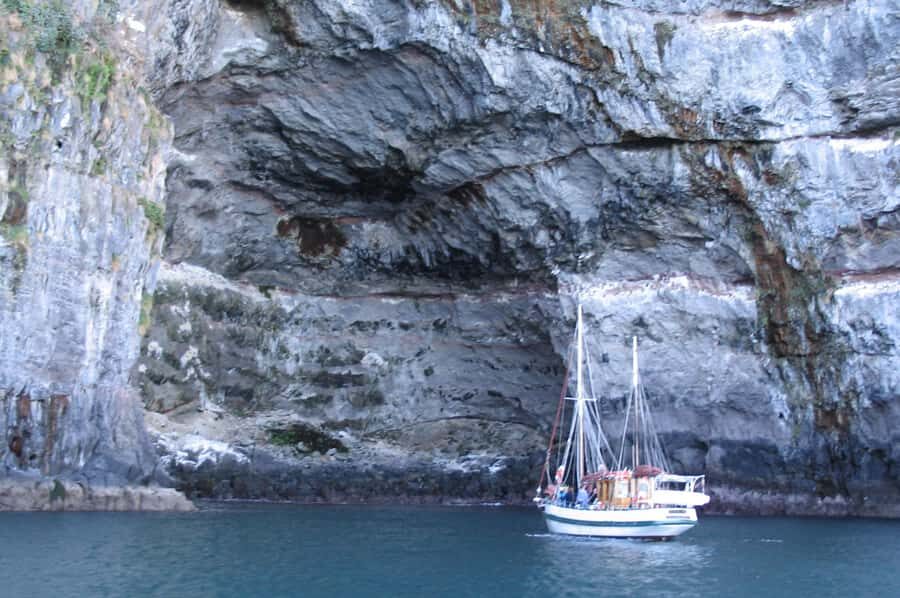 Akaroa: Wildlife Cruise with Dolphins and Penguins - Getting onto the Fox II at Daly’s Wharf (and where to meet)