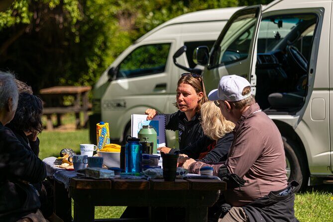 Akaroa with optional dolphin cruise (Small Group Tour) - Akaroa from Christchurch: small-group pace, big views