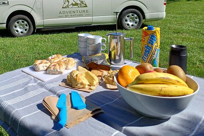 Akaroa with optional dolphin cruise (Small Group Tour) - Kaituna Valley Scenic Reserve: native bush time with afternoon tea