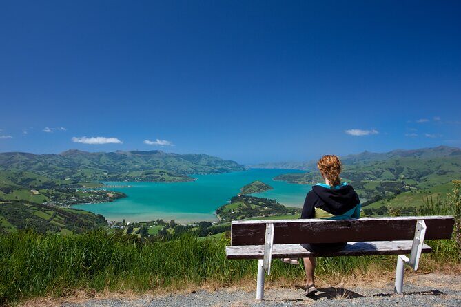 Akaroa with optional dolphin cruise (Small Group Tour) - Food and comfort: why the included meals help the value