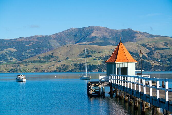Akaroa with optional dolphin cruise (Small Group Tour) - Timing and flexibility: how to get the best out of the day