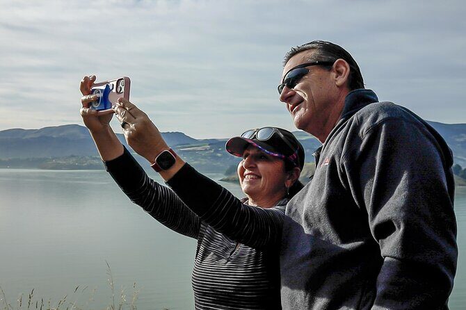 Akaroa with optional dolphin cruise (Small Group Tour) - Port Hills first: Sign of the Kiwi Cafe viewpoint