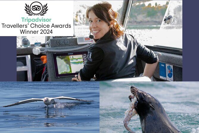 Albatross, seals, and sea birds-Wildlife Cruise - Captain Rachel and the onboard animal ID setup