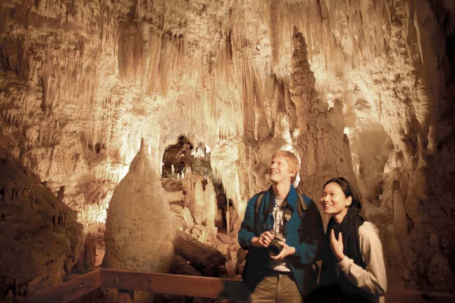 Aranui Cave 1-Hour Guided Tour - Why Aranui Cave feels different from Waitomo’s famous glowworm circuit