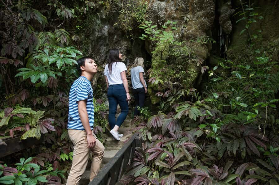 Aranui Cave 1-Hour Guided Tour - Limestone art in pale brown, pink, and white