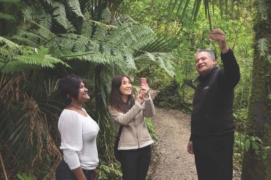 Aranui Cave 1-Hour Guided Tour - Maori myth and geology explained by a guide who talks to you
