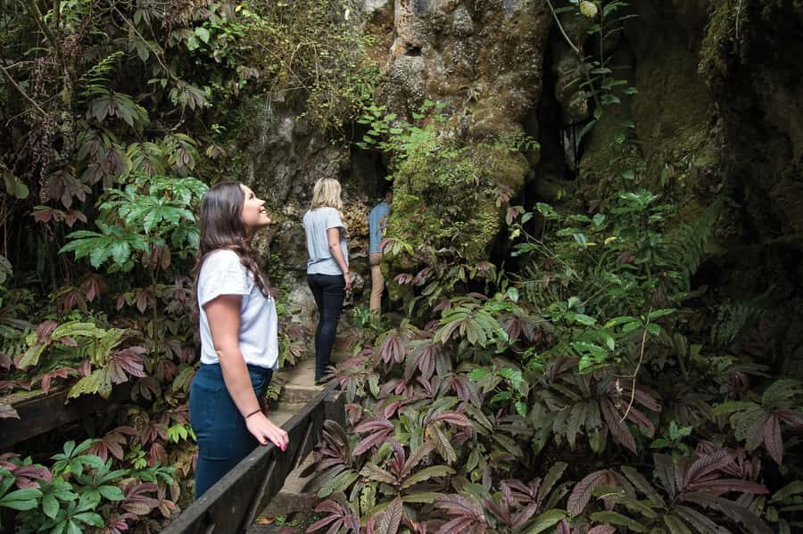 Aranui Cave 1-Hour Guided Tour - Who should book this tour (and who should reconsider)