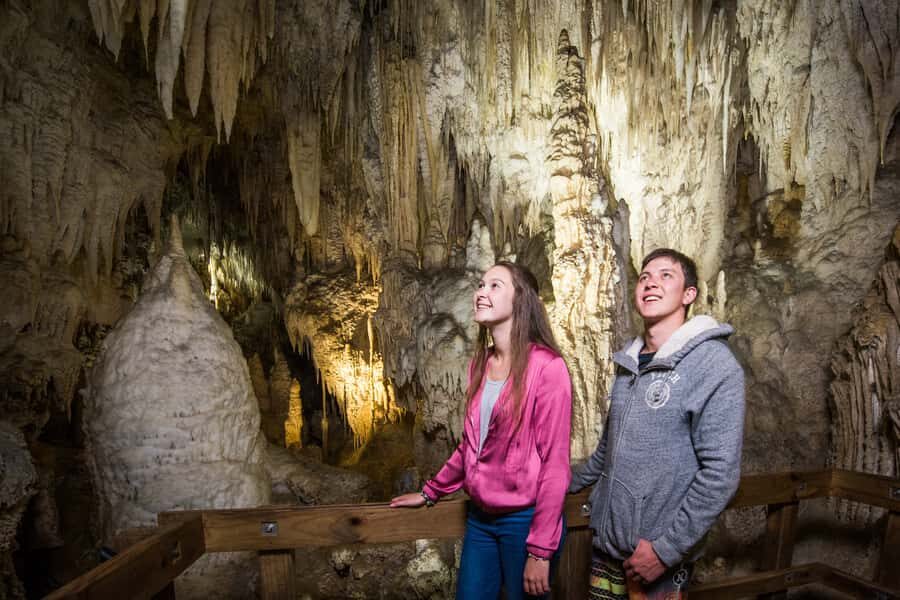 Aranui Cave 1-Hour Guided Tour - From the Waitomo Visitor Centre to the Ruakuri bush walk