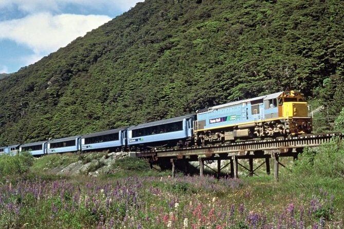 Arthur's Pass and TranzAlpine Train Day Tour from Christchurch - Otira Viaduct lookout: a quick hit of New Zealand engineering