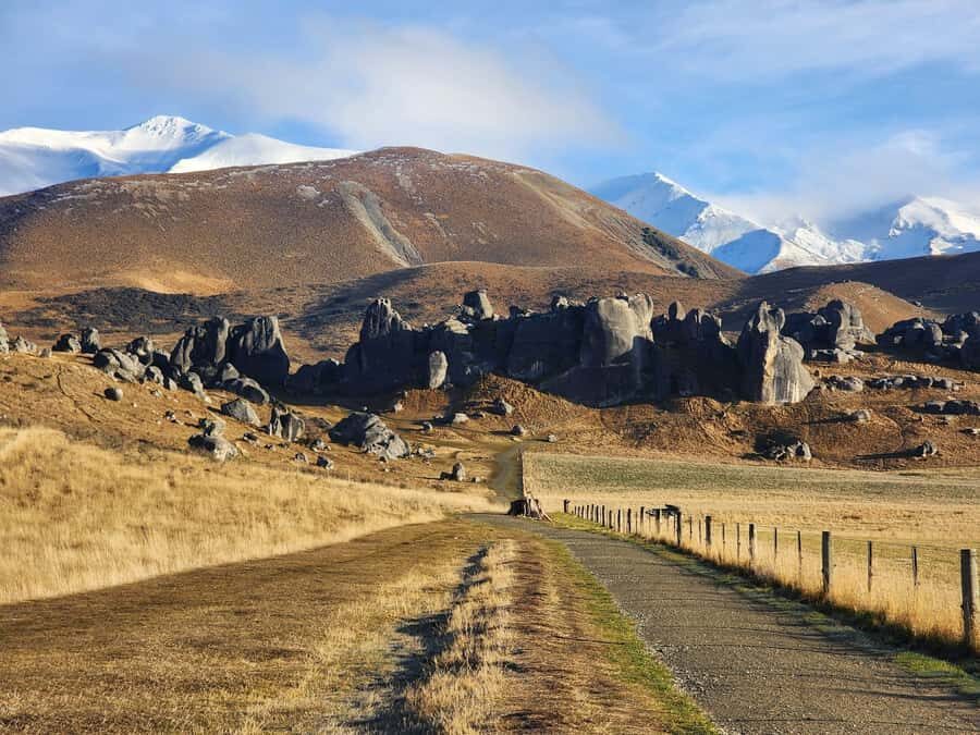 Arthur’s Pass Tour From Christchurch via CHC-GRZ TranzAlpine - Kea spotting chance: what to look for (and what not to expect)