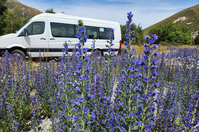 Arthur’s Pass Tour From Christchurch With Jet Boat & TranzAlpine - Alpine Jet Thrills (Springfield): the 30-minute jet boat stop