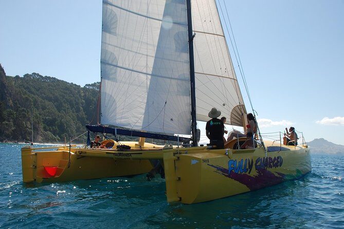 Arvo of goodness Chilled out Sail (3.5hrs) - Snacks, drinks, and the reality of seasonal variations