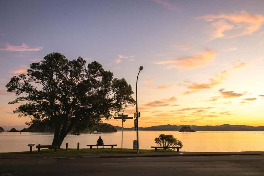 Auckland: 2-Day Bay of Islands Small Group Tour with Cruise - Key things that make this tour click