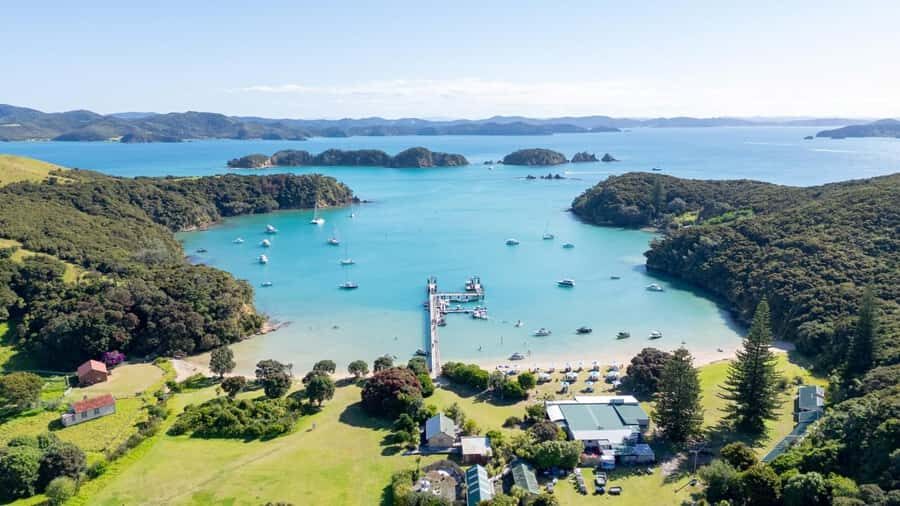 Auckland: 2-Day Bay of Islands Small Group Tour with Cruise - Day One: Auckland Harbour Bridge, Kauri Museum, and Tāne Mahuta
