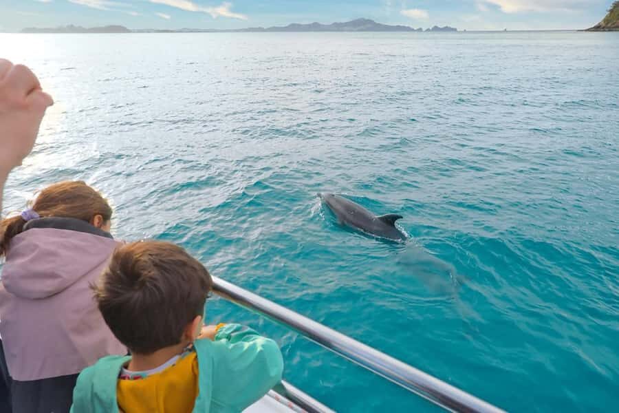 Auckland: 2-Day Bay of Islands Small Group Tour with Cruise - Urupukapuka Island: Otehei Bay and a Breather